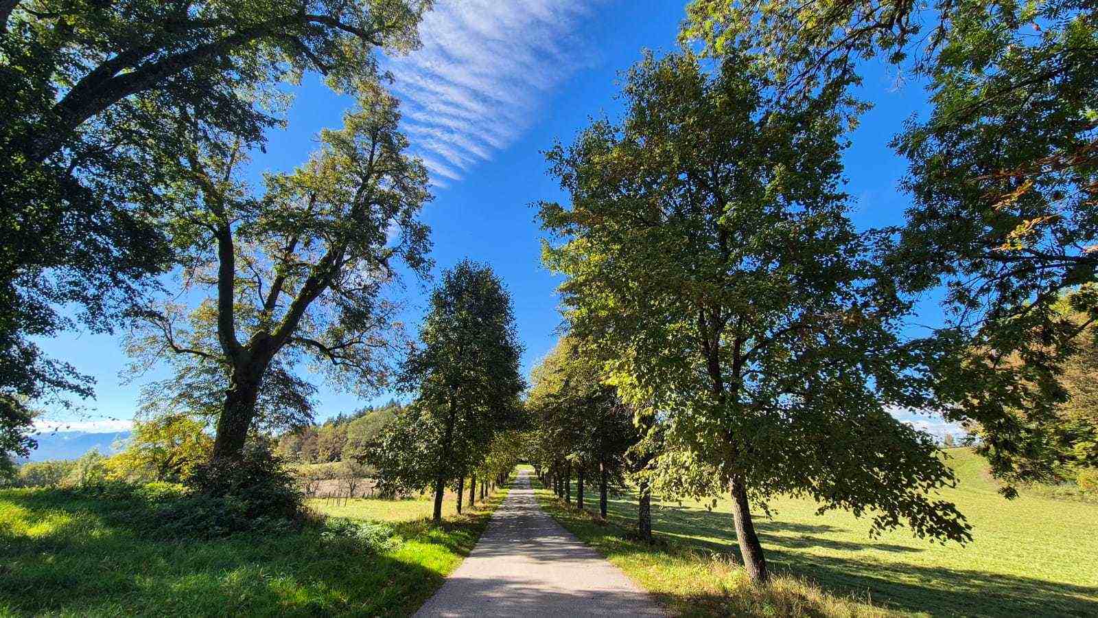 Waldrunde Lengdorf: Aussichten und Waldluft genießen