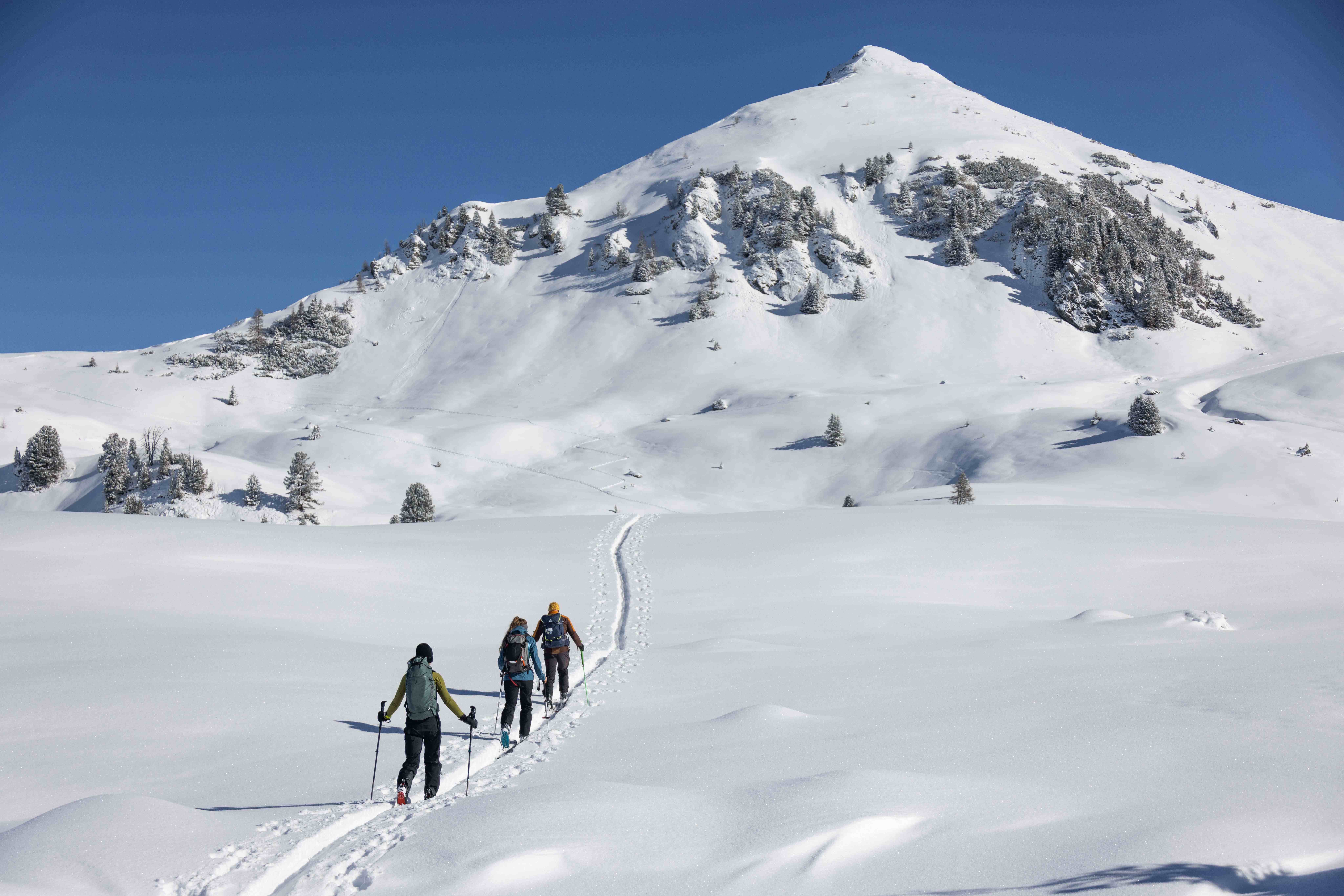 Kulinarischer Herbst: Die Buschenschank-Saison ist eröffnet