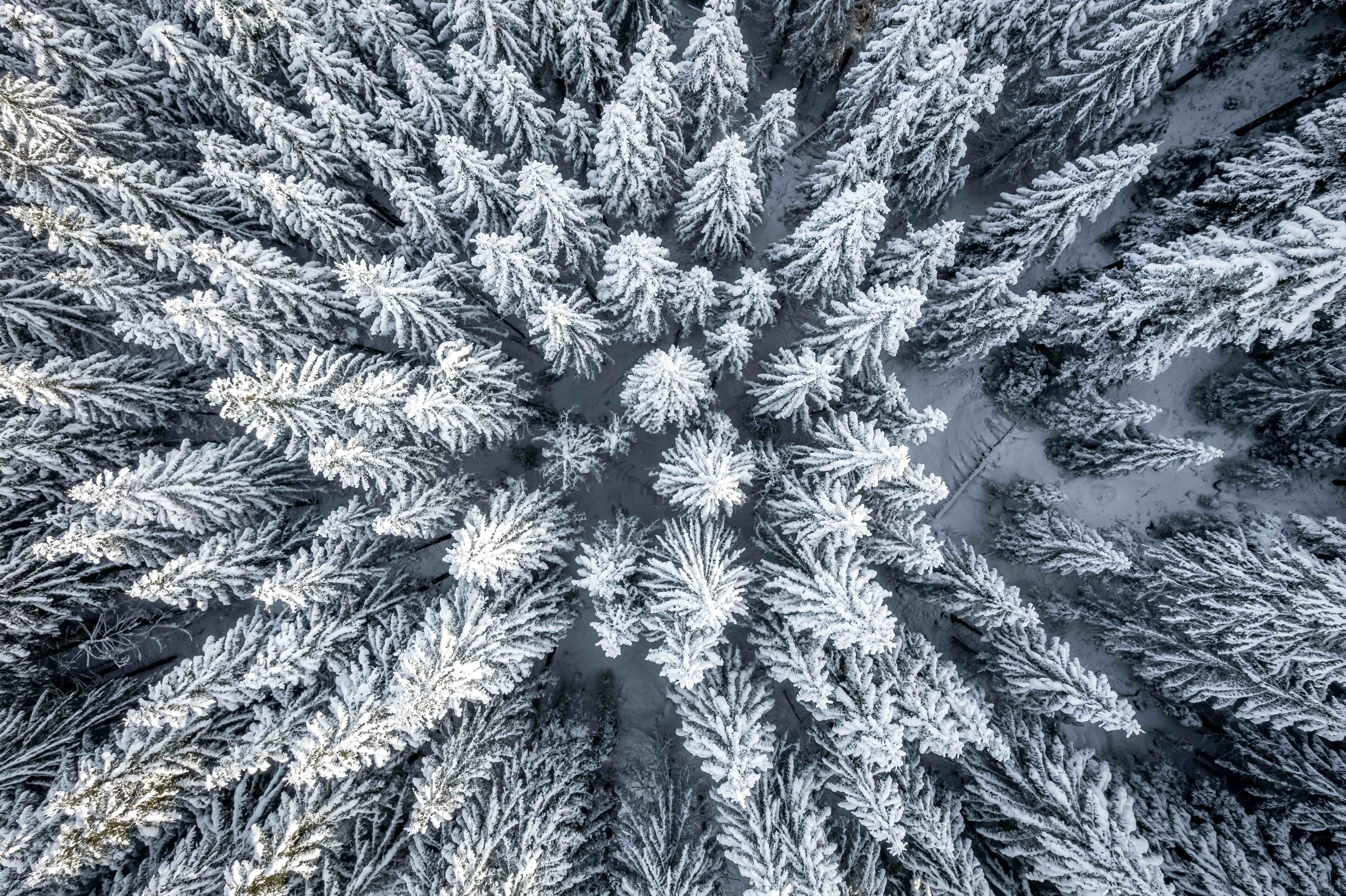 Gesundheit & Achtsamkeit